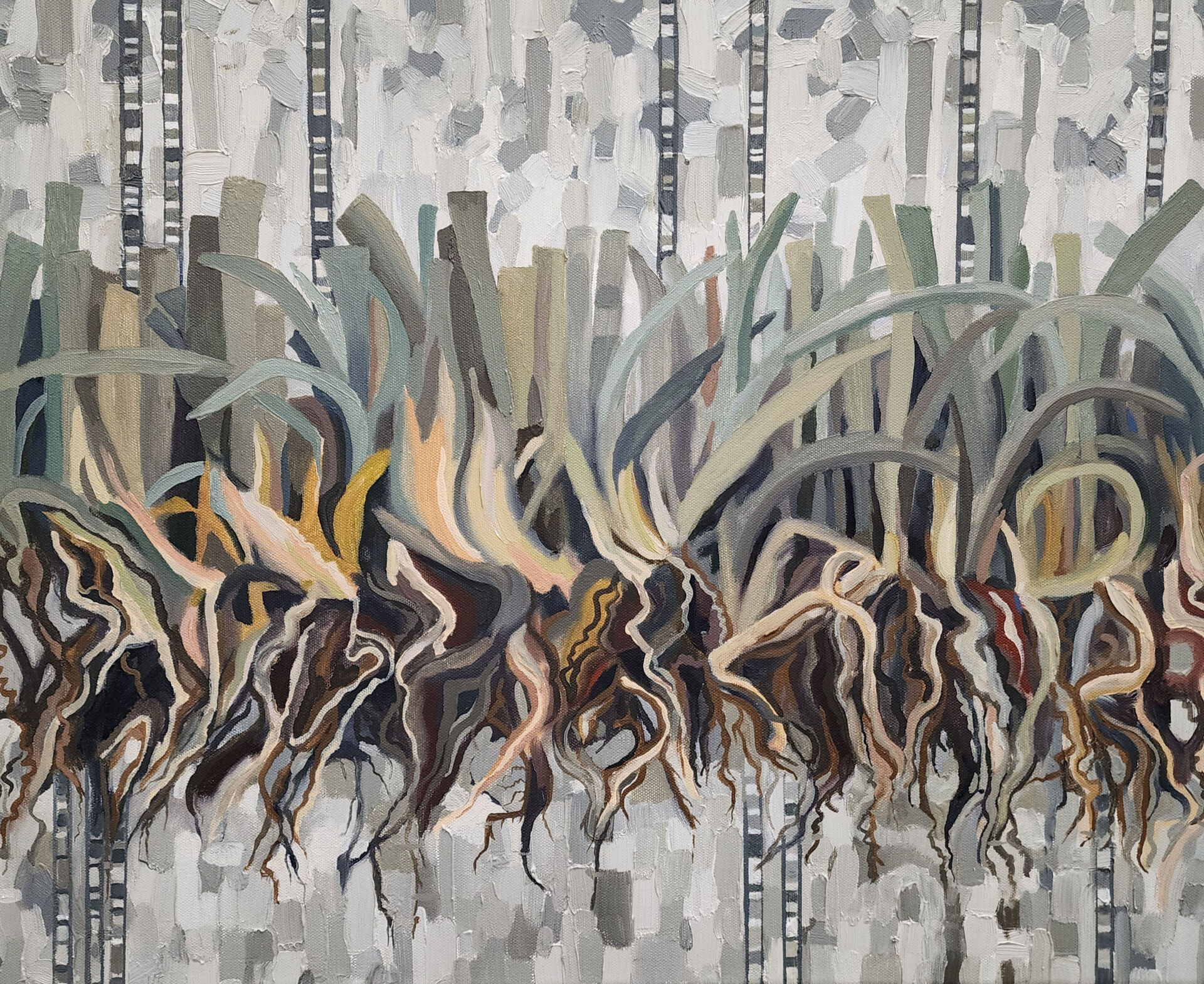 © C. Clay-Ward image copyright protected