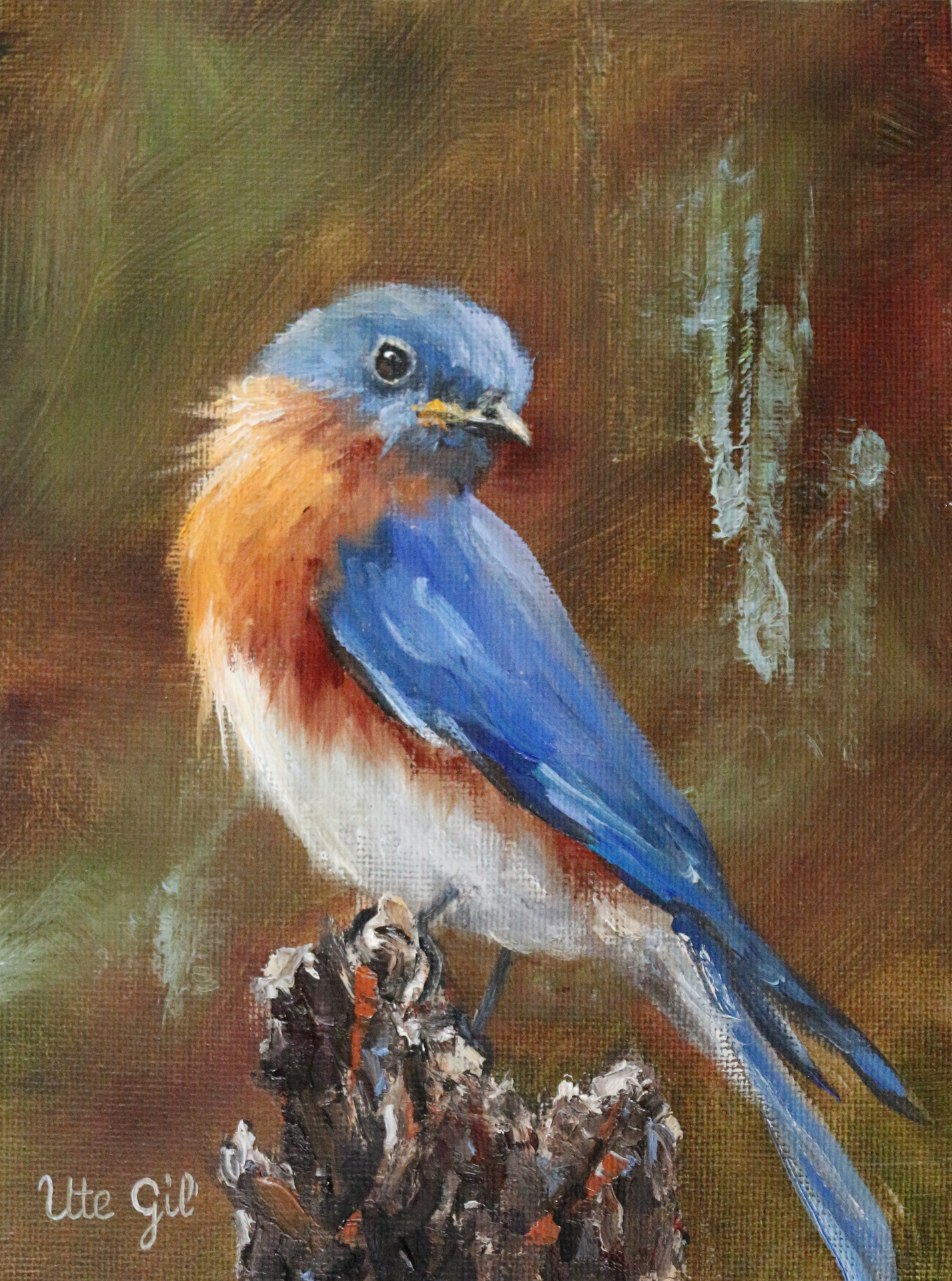 © Ute Gil image copyright protected