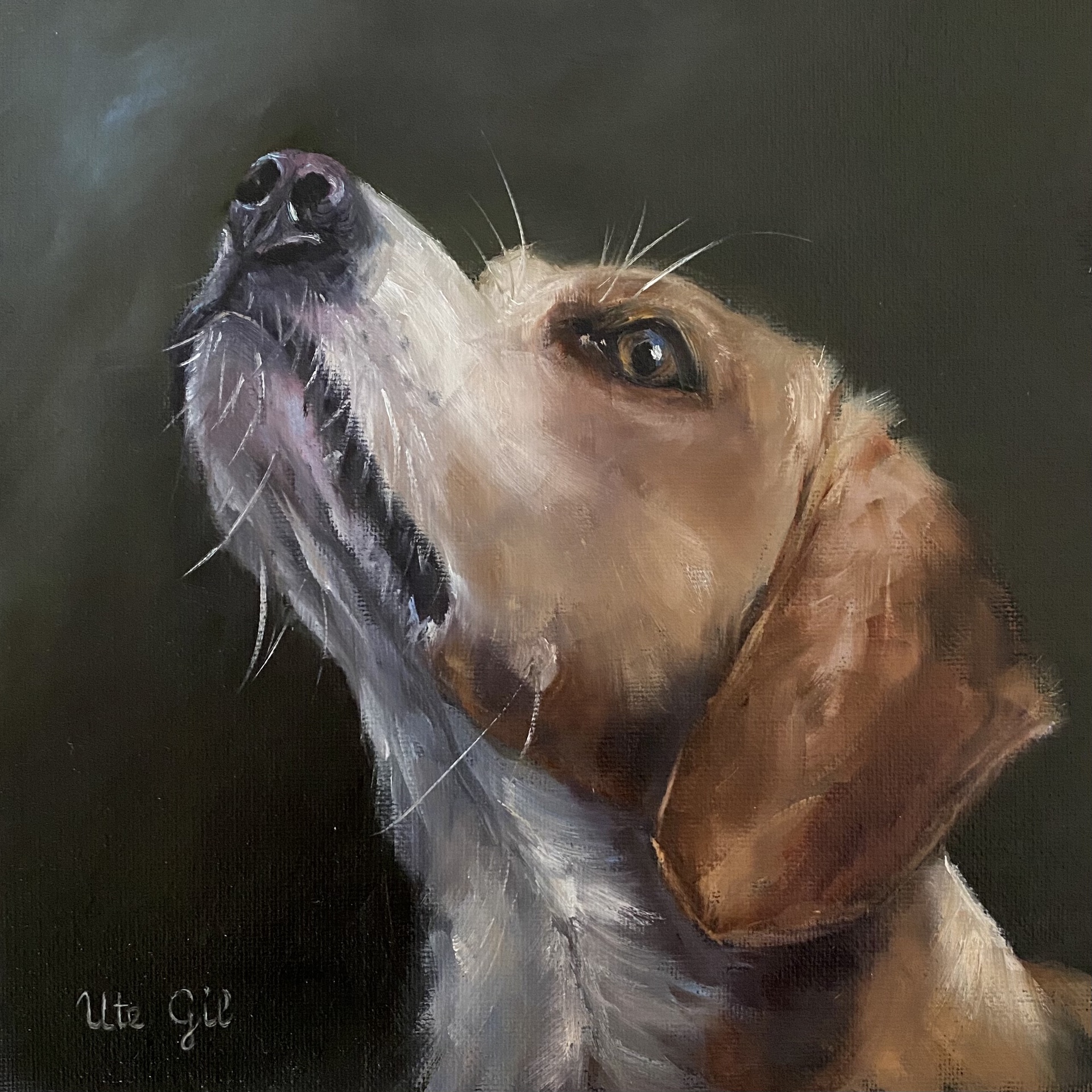 © Ute Gil image copyright protected