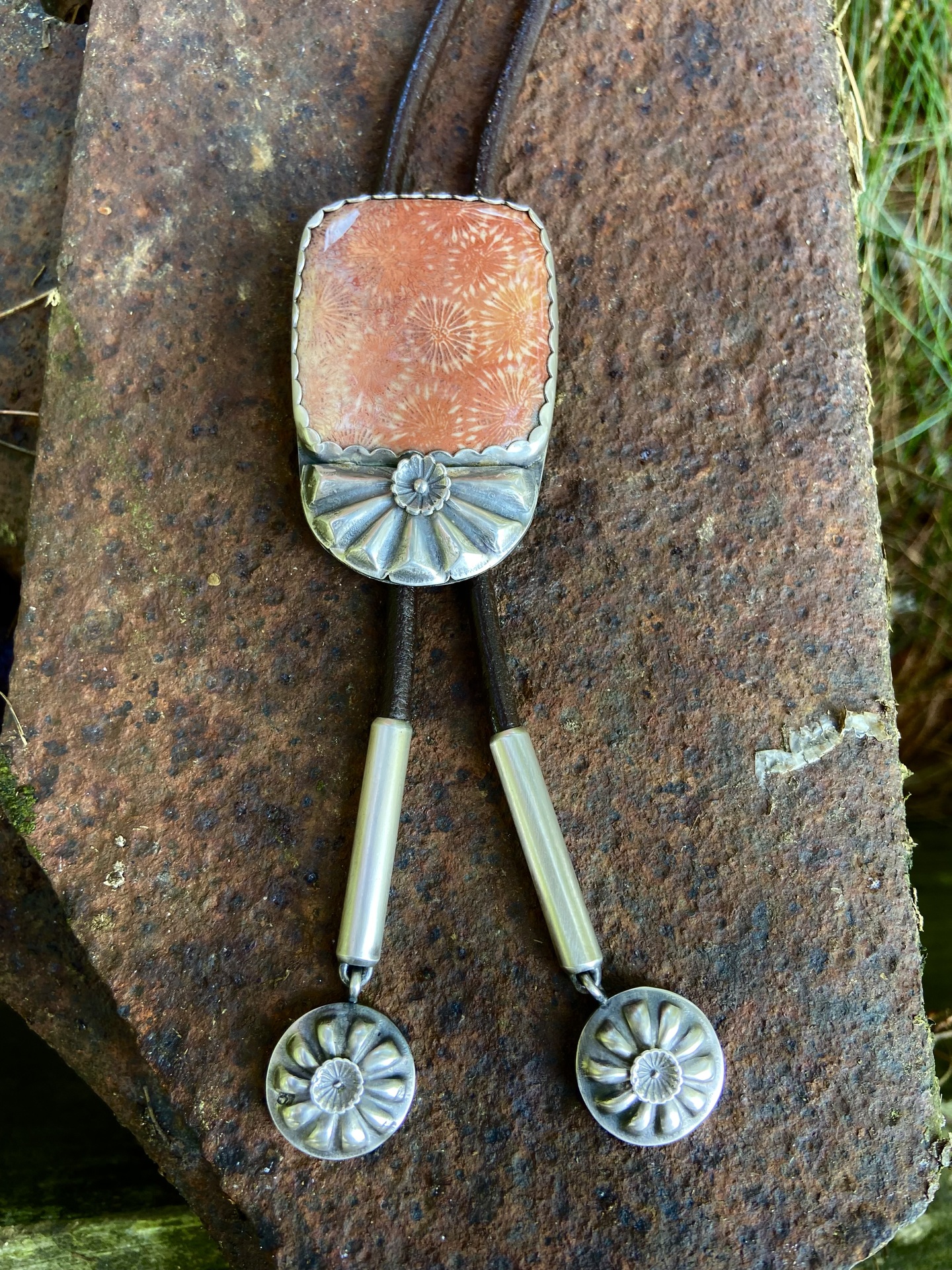 © Teresa Jardines image copyright protected