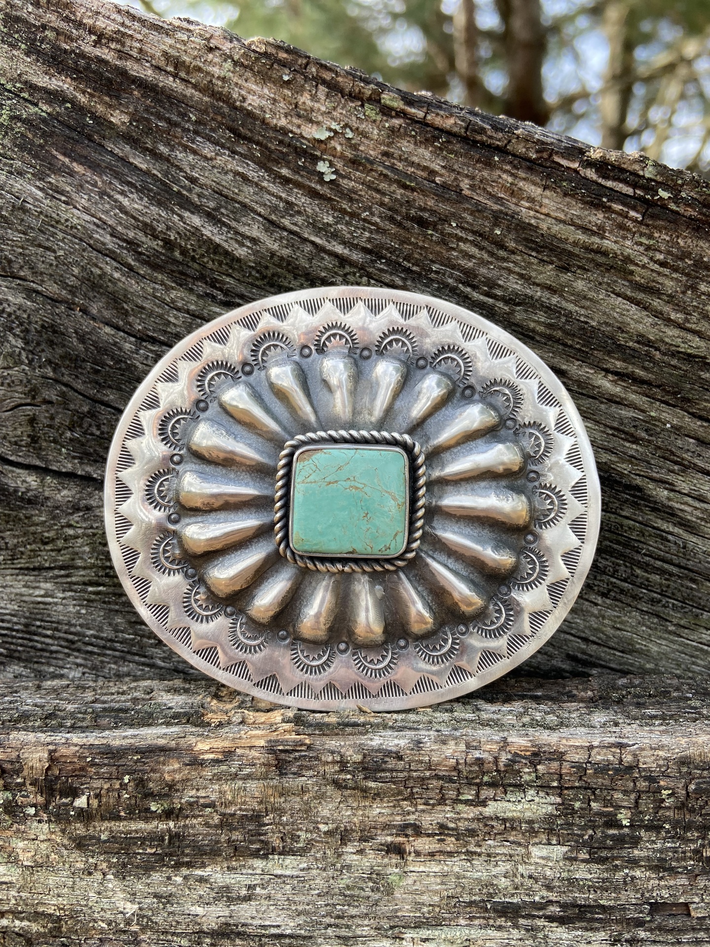 © Teresa Jardines image copyright protected