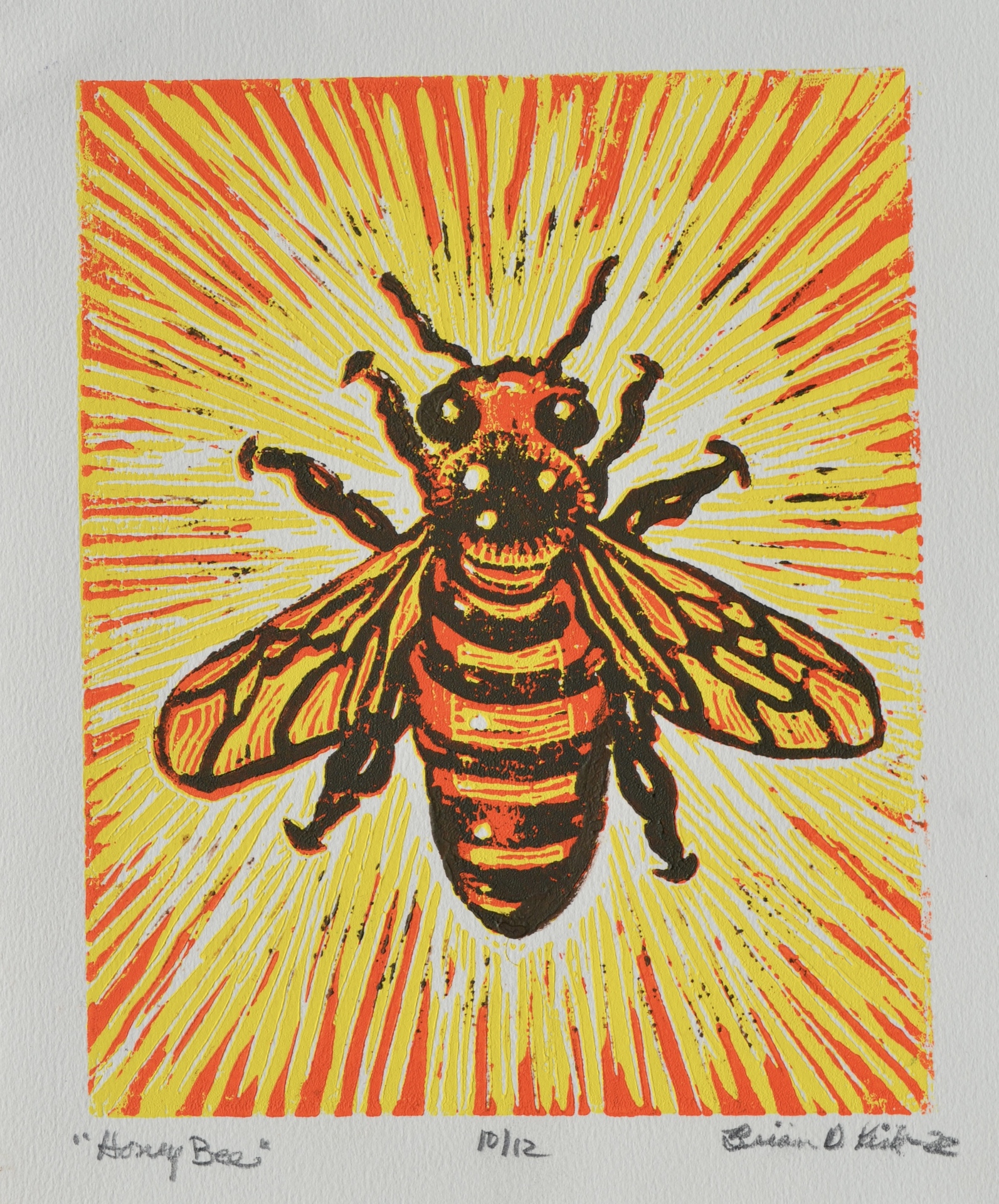 © Brian Kirk image copyright protected