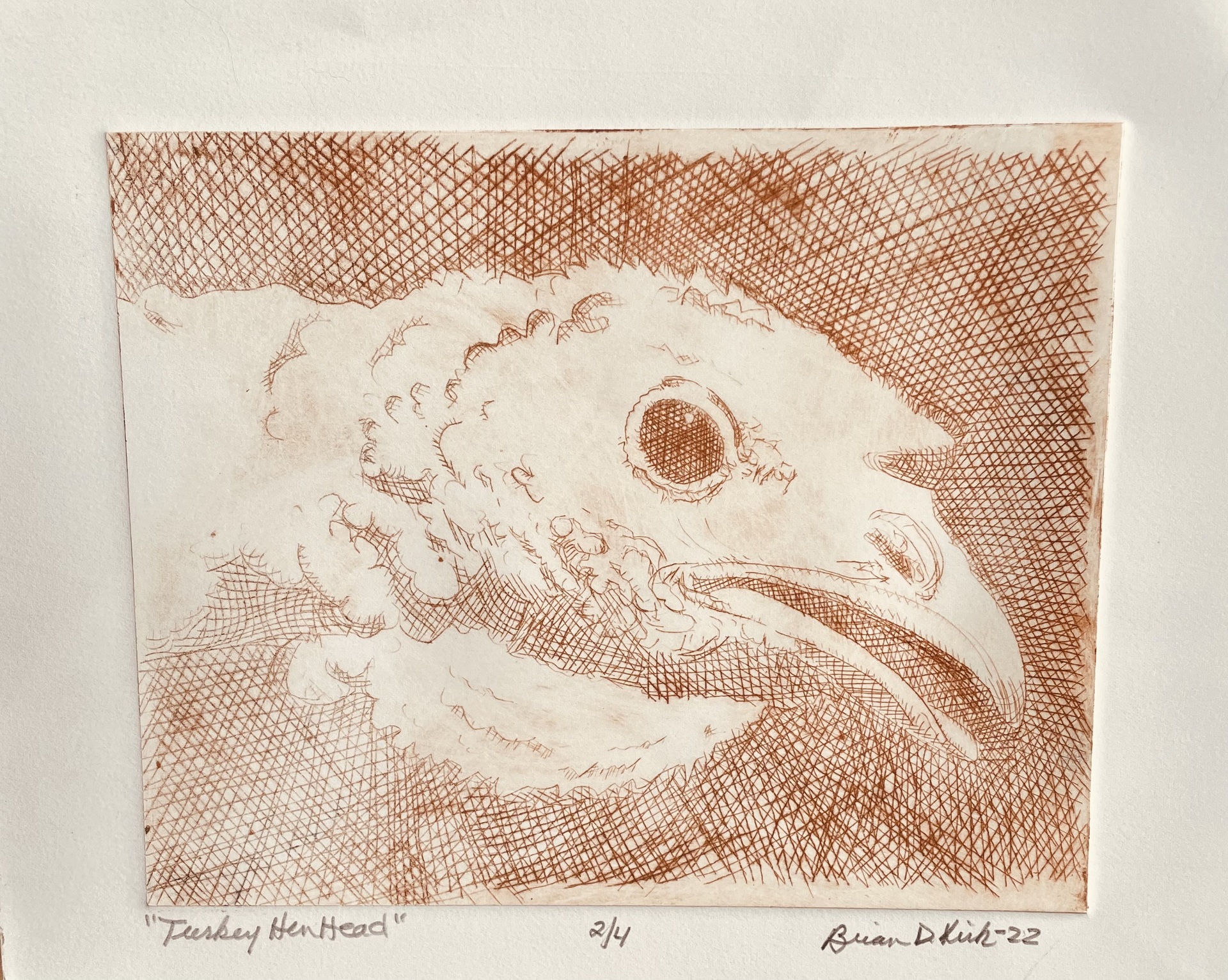 © Brian Kirk image copyright protected