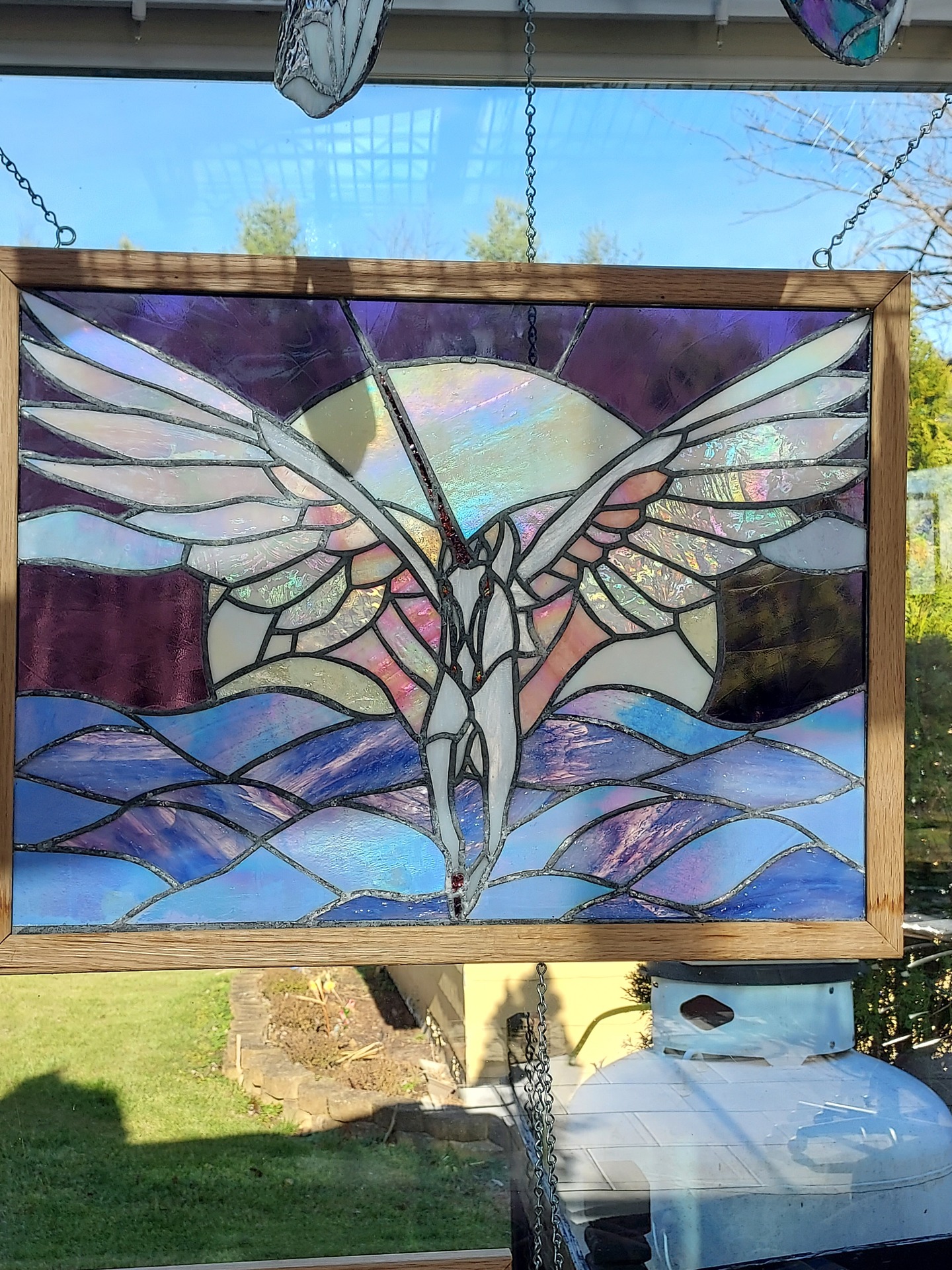 © Deb Maurer image copyright protected