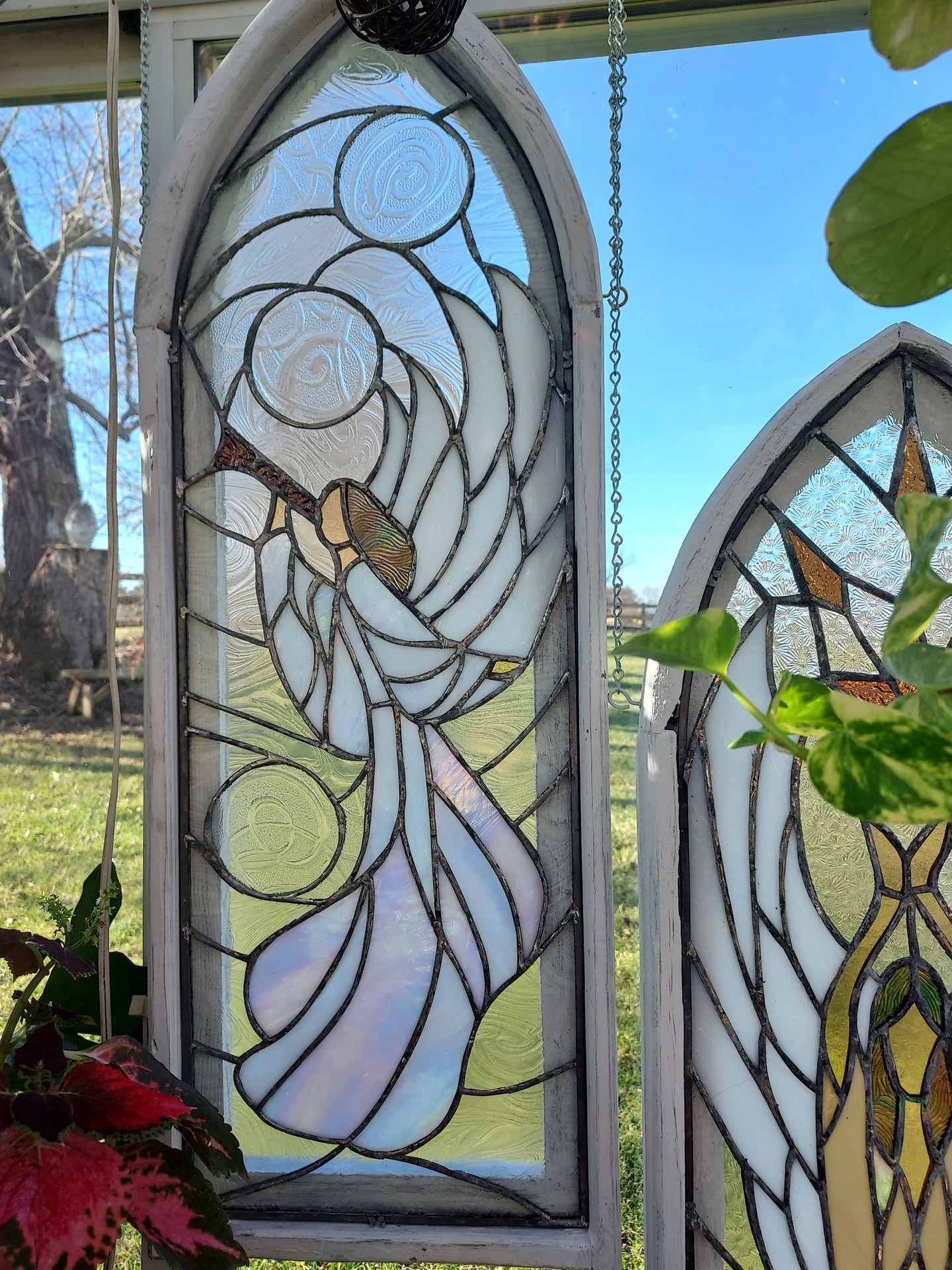 © Deb Maurer image copyright protected