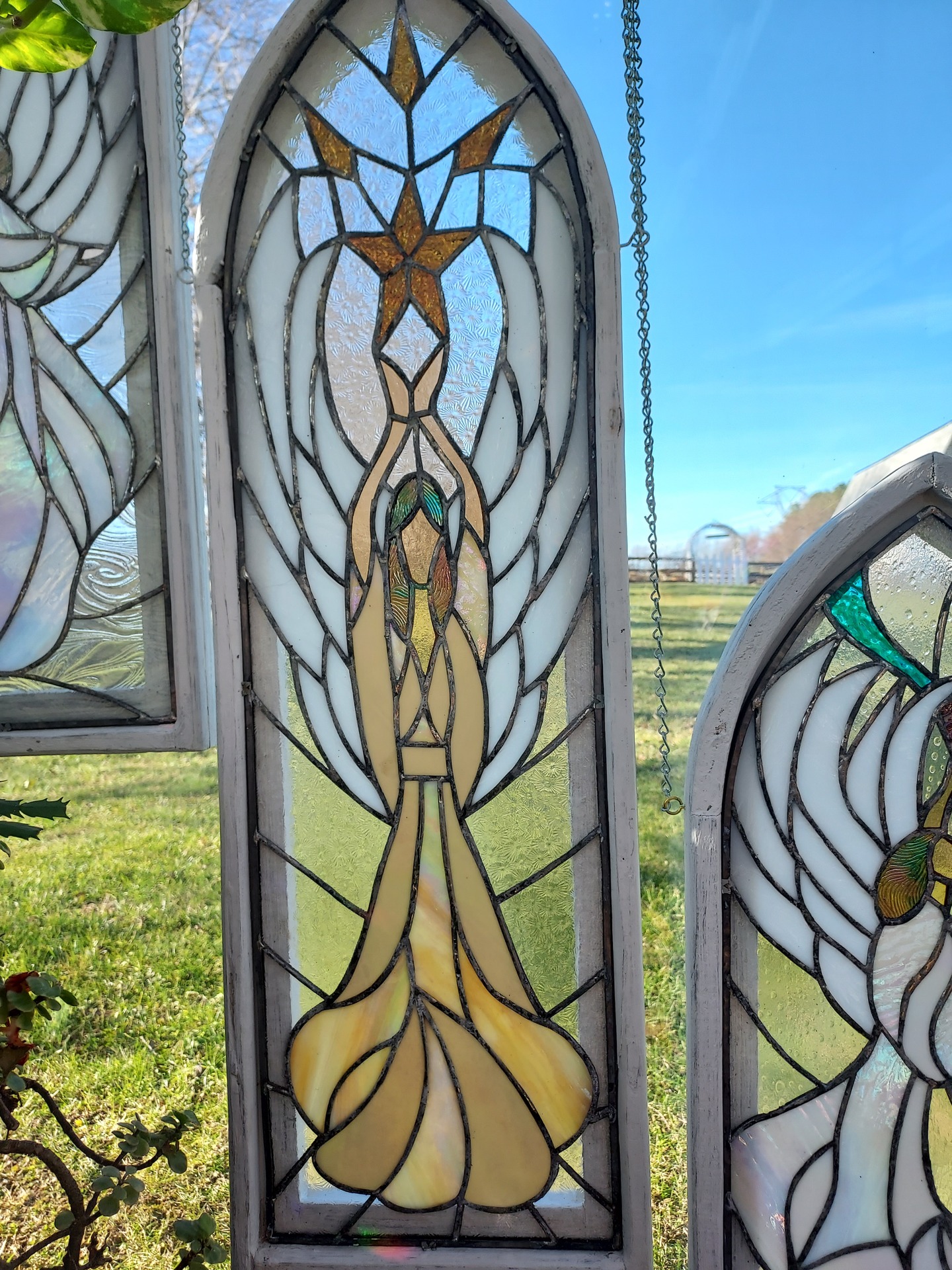 © Deb Maurer image copyright protected