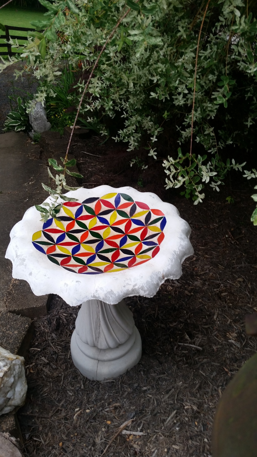 © Deb Maurer image copyright protected