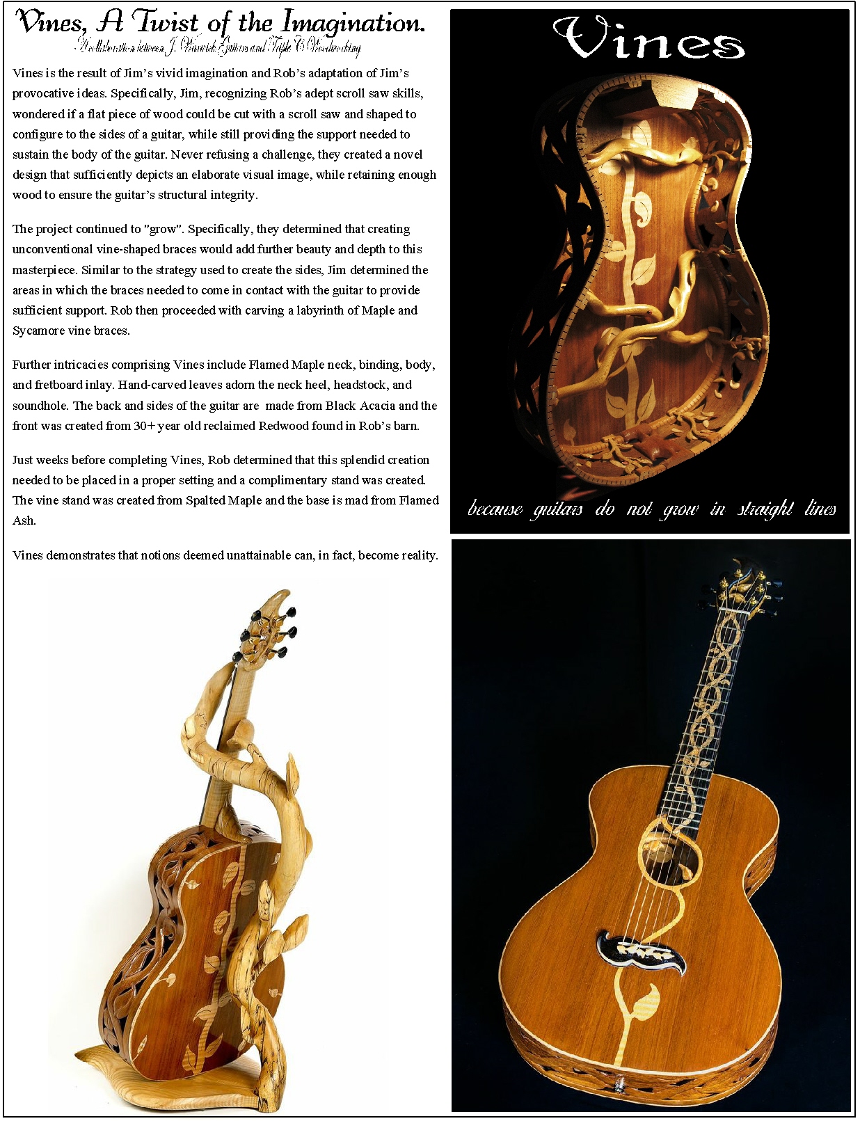 © Rob Mock image copyright protected