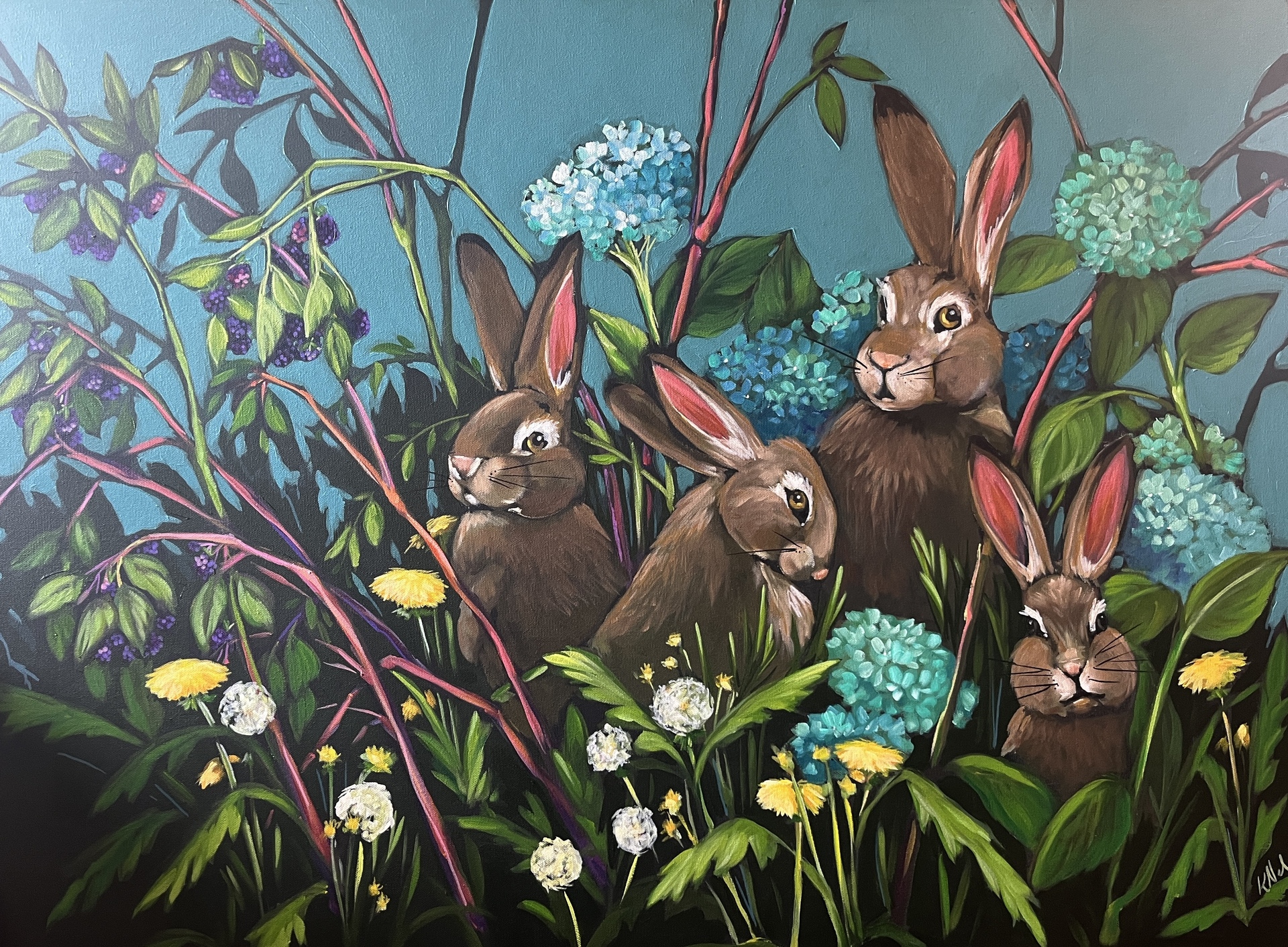 © Kaarin Nelson image copyright protected