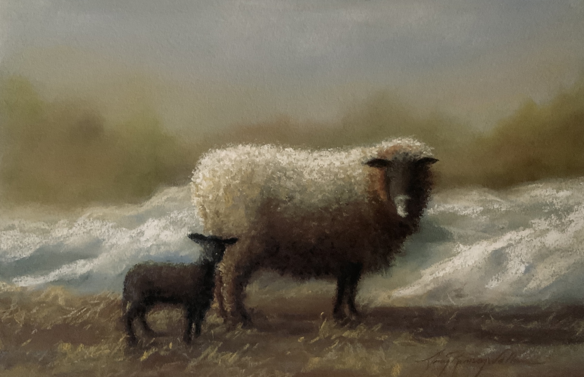 © Amy Walton image copyright protected