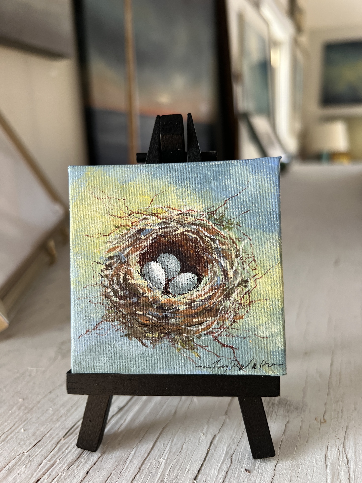 © Amy Walton image copyright protected