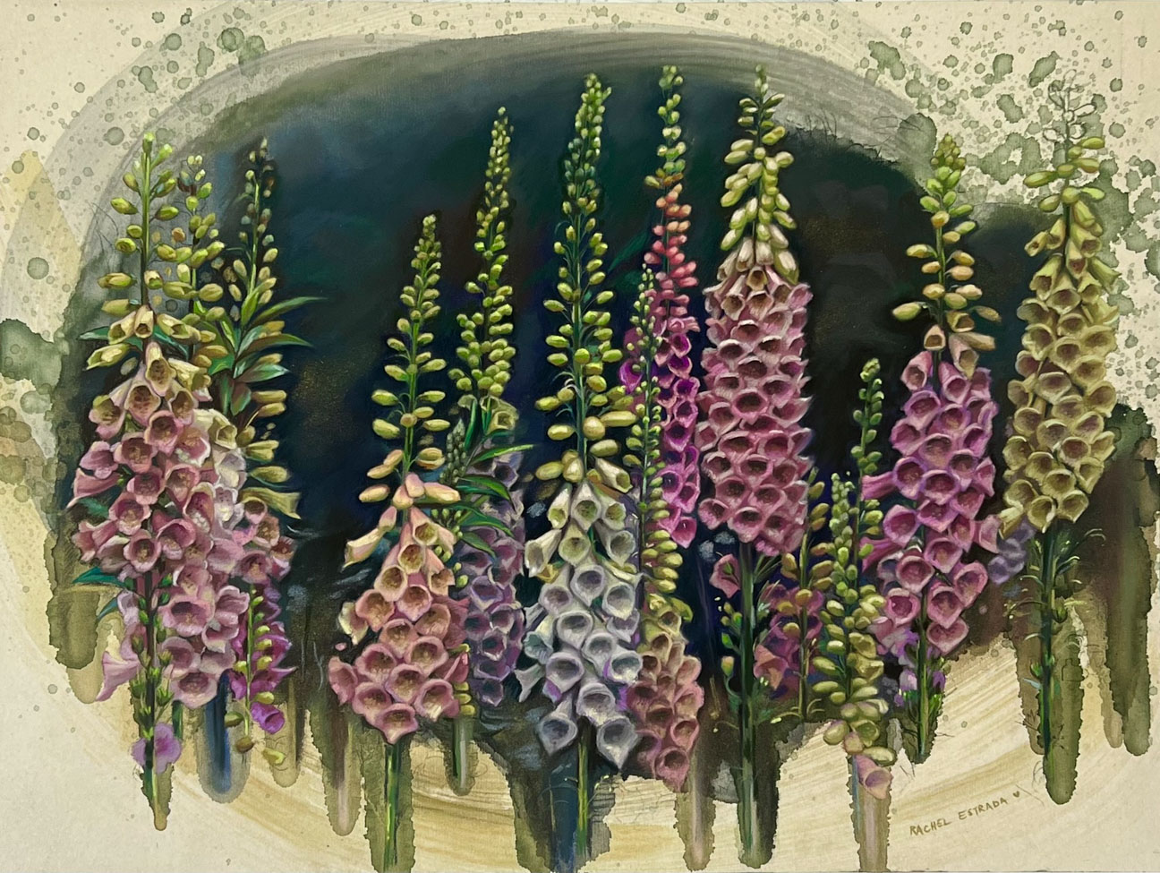 © Rachel Estrada | Foxgloves | image copyright protected