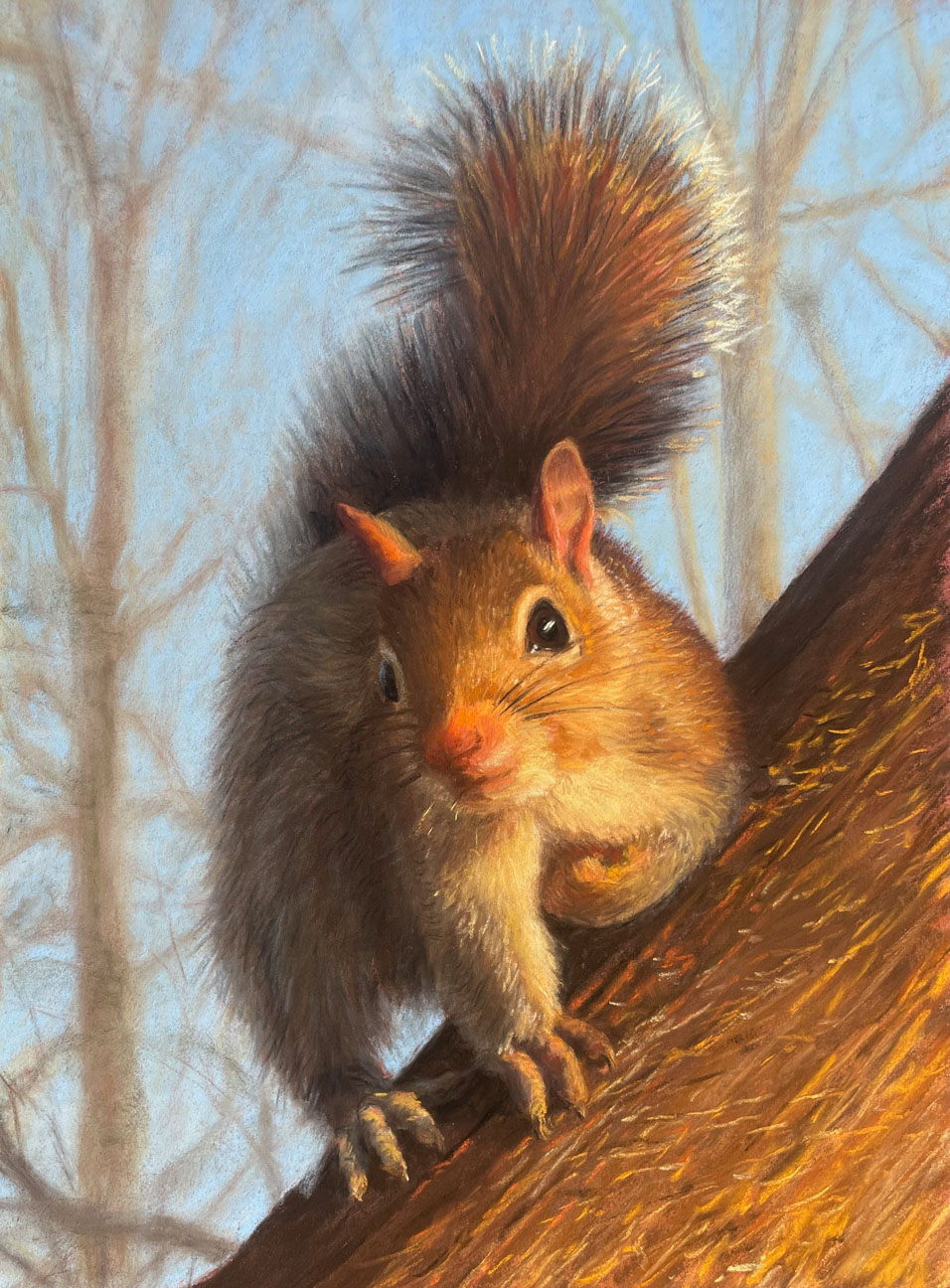 © Lori Goll | Squirrel at Golden Hour | image copyright protected