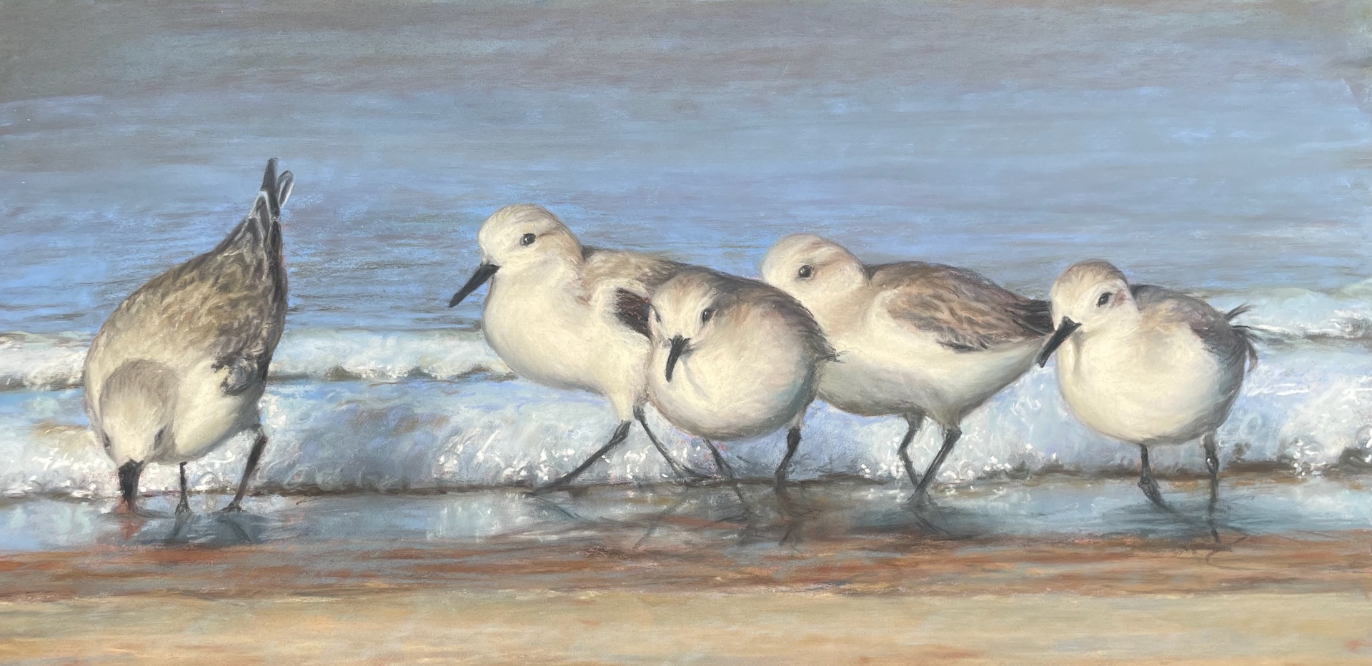 © Lori Goll | Sanderling Scramble | image copyright protected
