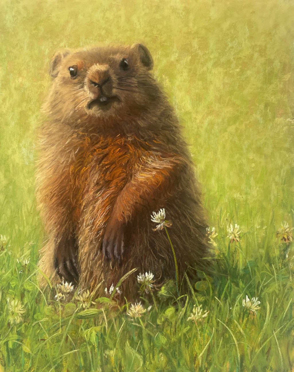 © Lori Goll | Little Groundhog | image copyright protected