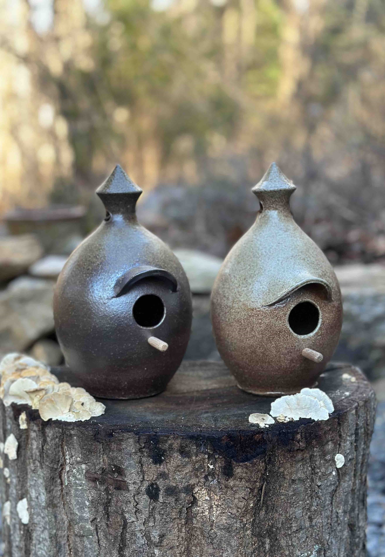 © Shawn M. Grove | Bird House | image copyright protected