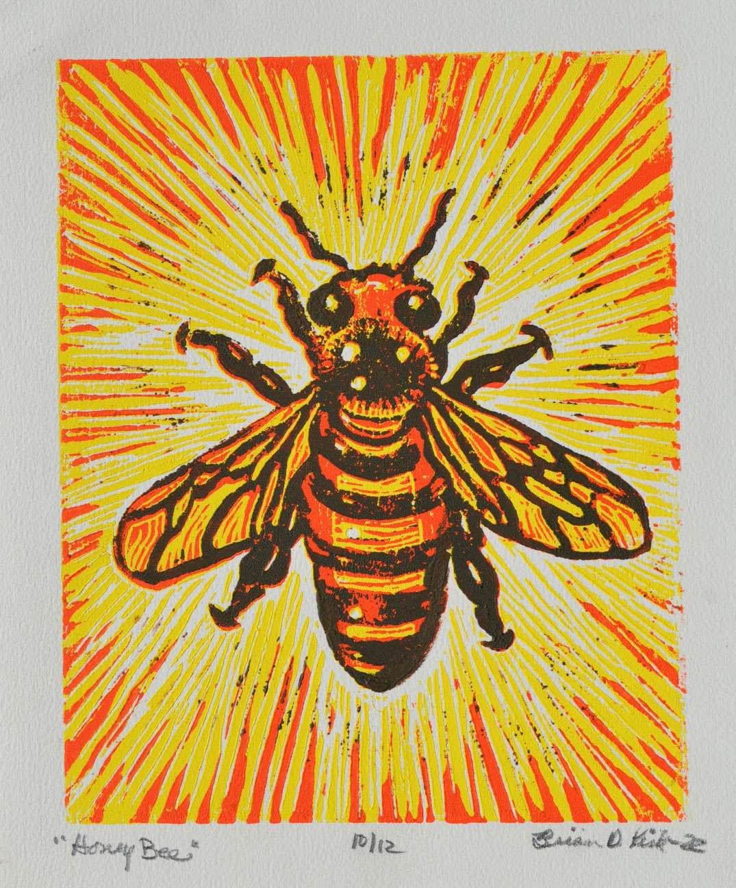 © Brian Kirk | Honey Bee | image copyright protected