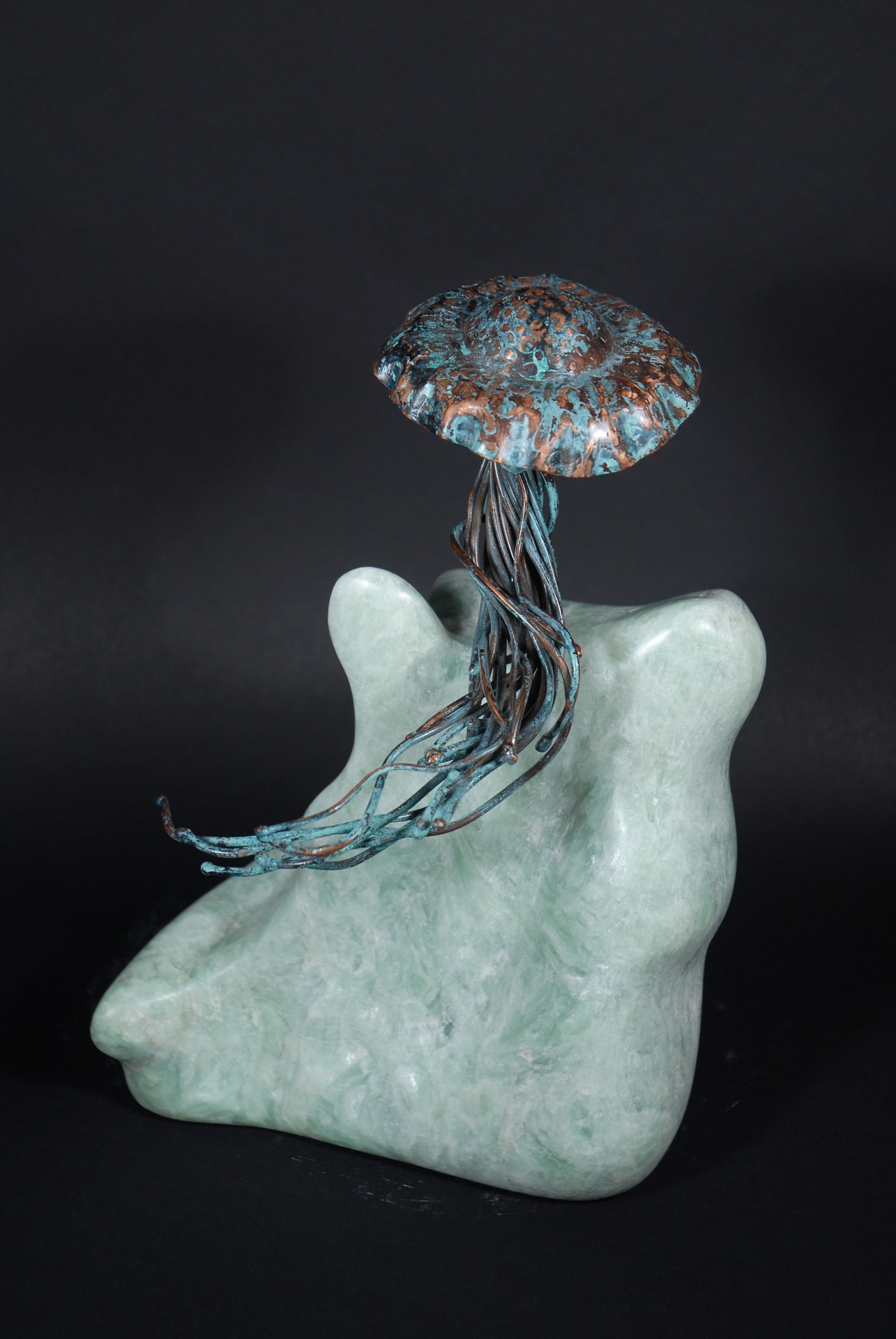 © Brian Kirk | Wayward Jellyfish | image copyright protected