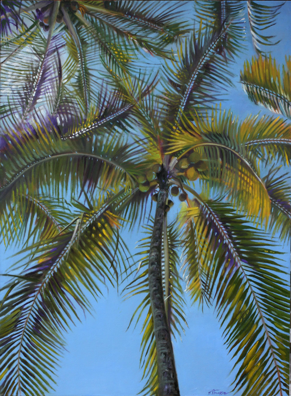 © Dana B. Thompson | Hawaiian Palm | image copyright protected