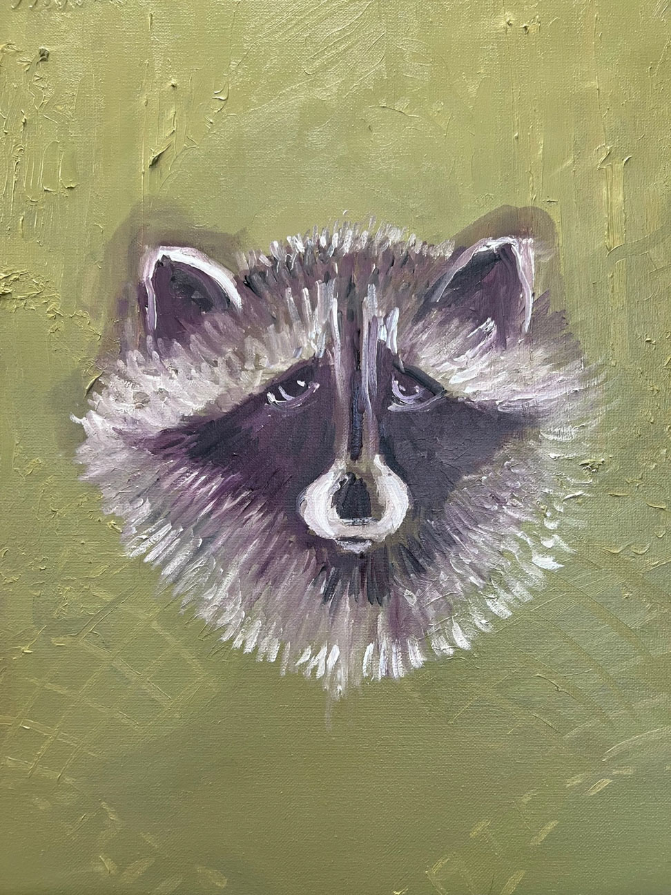© Judith M. Thompson | Racoon | image copyright protected